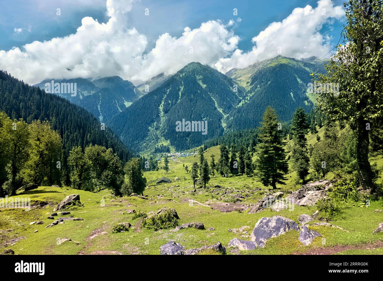 Forest Views In The Beautiful Aru Valley Pahalgam Kashmir India 