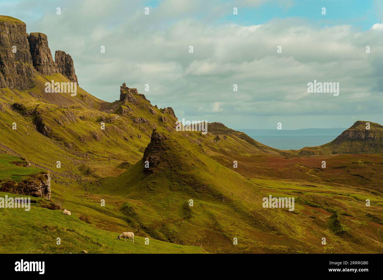 Sheep grazing with roads in between mountain and lake at Isle of Skye ...