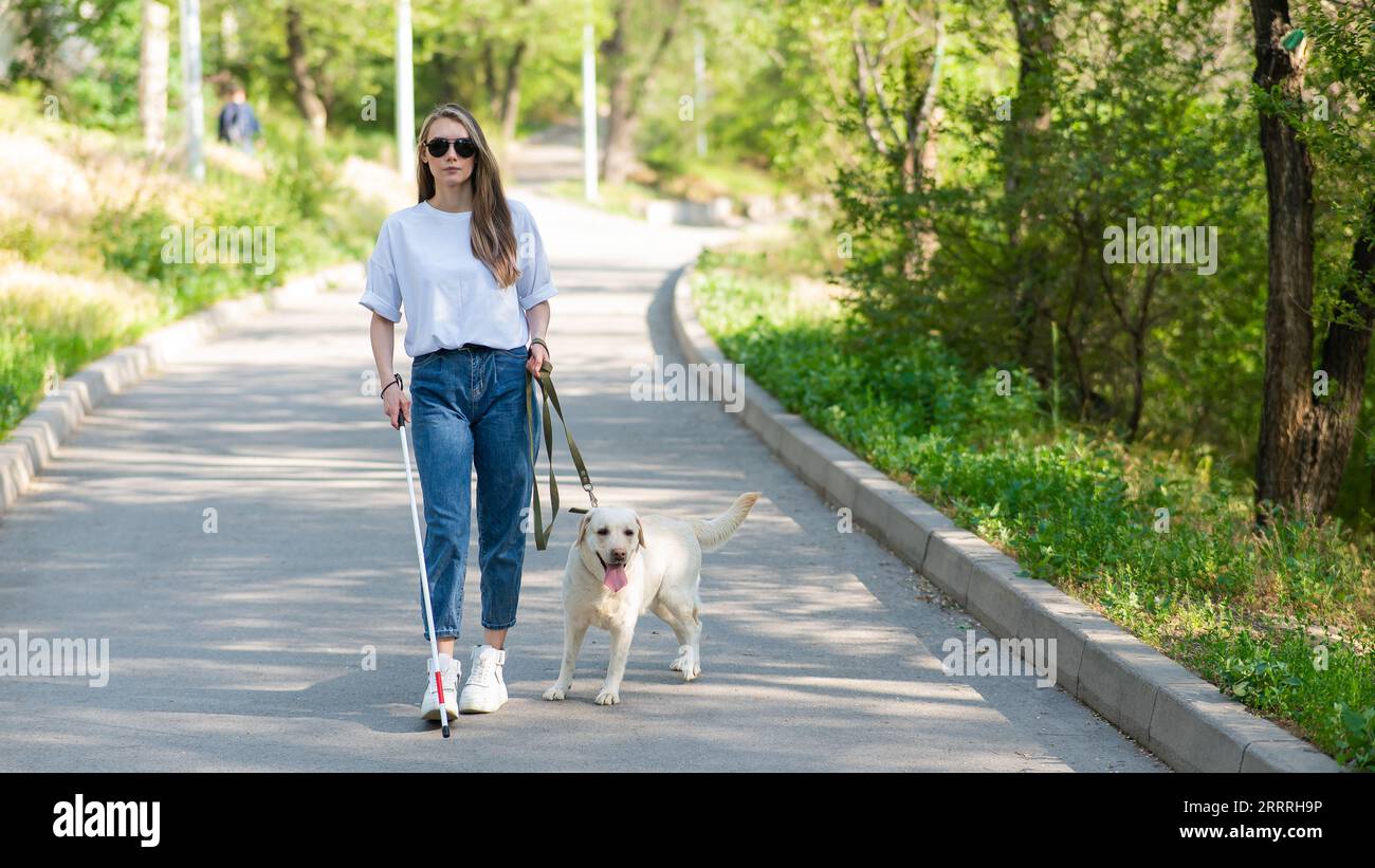 Blind woman walking with guide dog in the park Stock Photo - Alamy