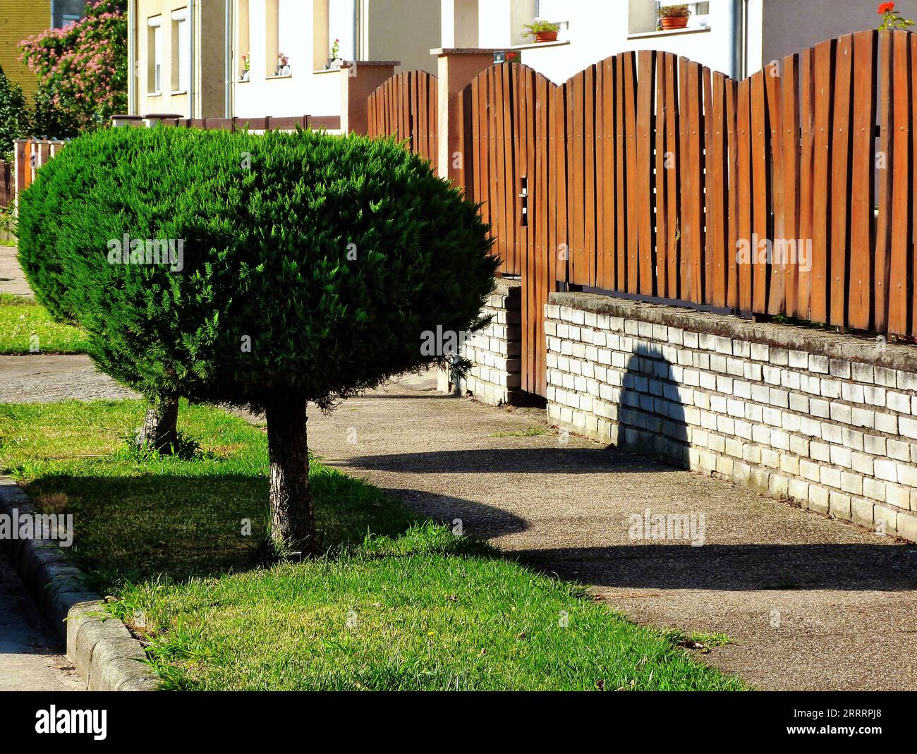 painted brown wood picket fence. front yard. classic fence. urban