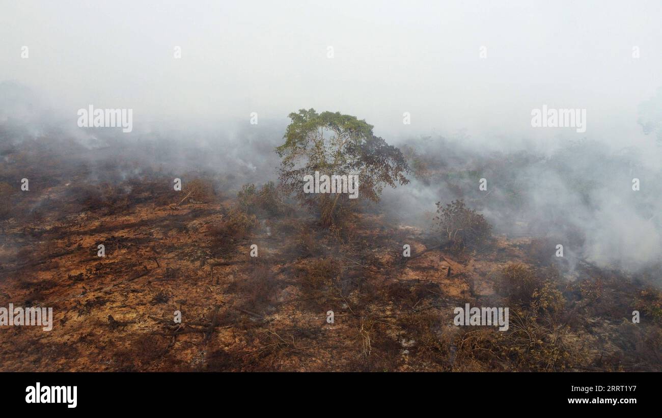 Officers from Manggala Agni Daops Banyuasin extinguish peatland fires in  Ibul 1 Village, Pemulutan District, Ogan Ilir Regency, South Sumatra. This  land fire occurred at 10.00 WIB with an area of ????about