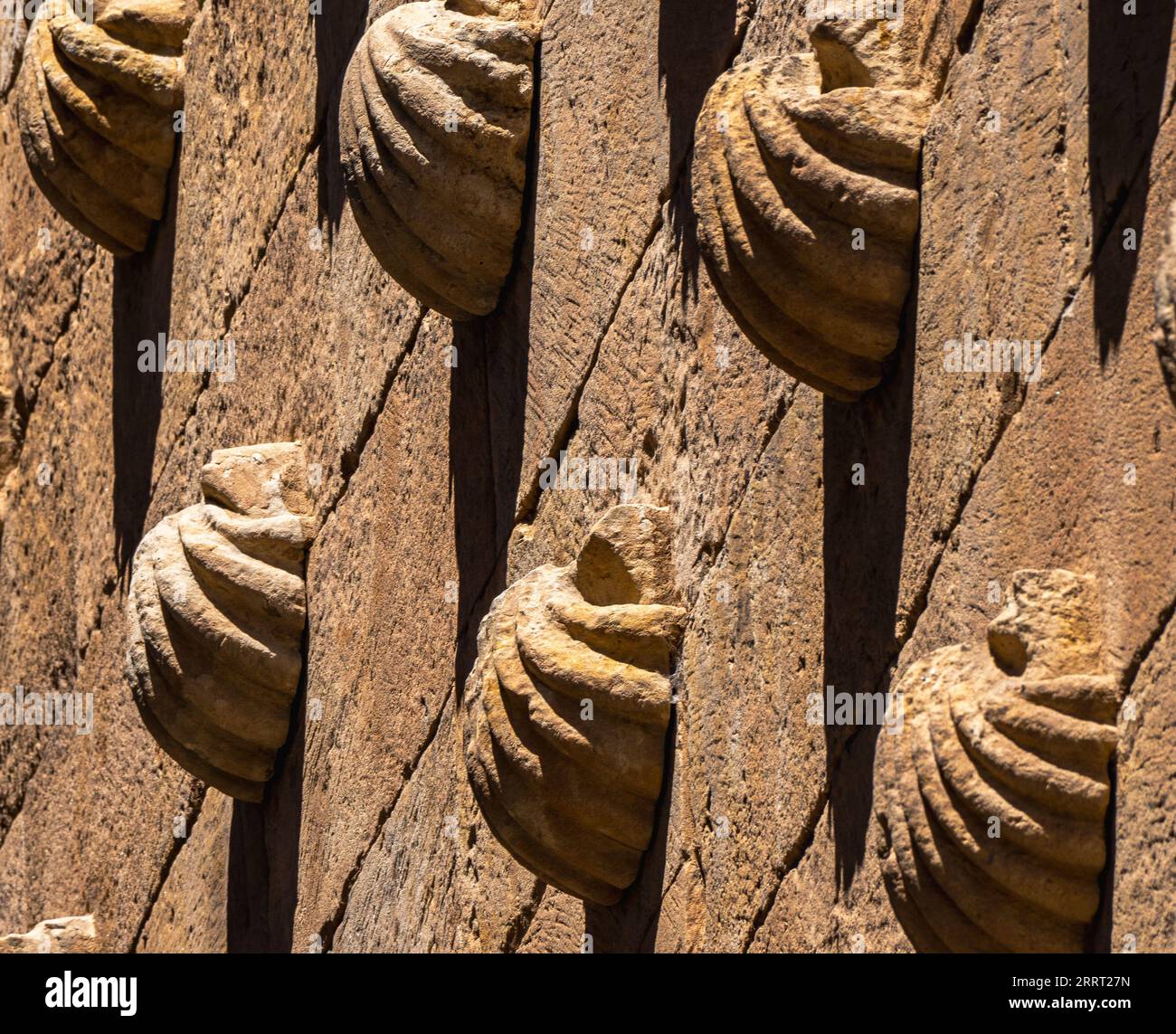 Macro detail of low-relief shell moldings sculpted into orange granite rock with their shadows stretched vertically by the evening sun on the facade o Stock Photo