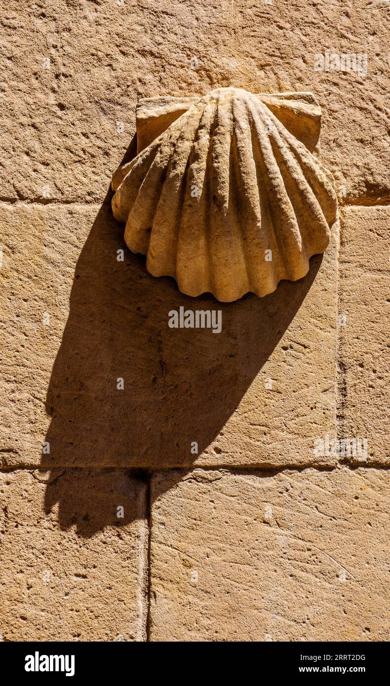 Low-relief molding of a shell sculpted in orange granite rock with its shadows stretched diagonally by the evening sun on the facade of La Casa de las Stock Photo
