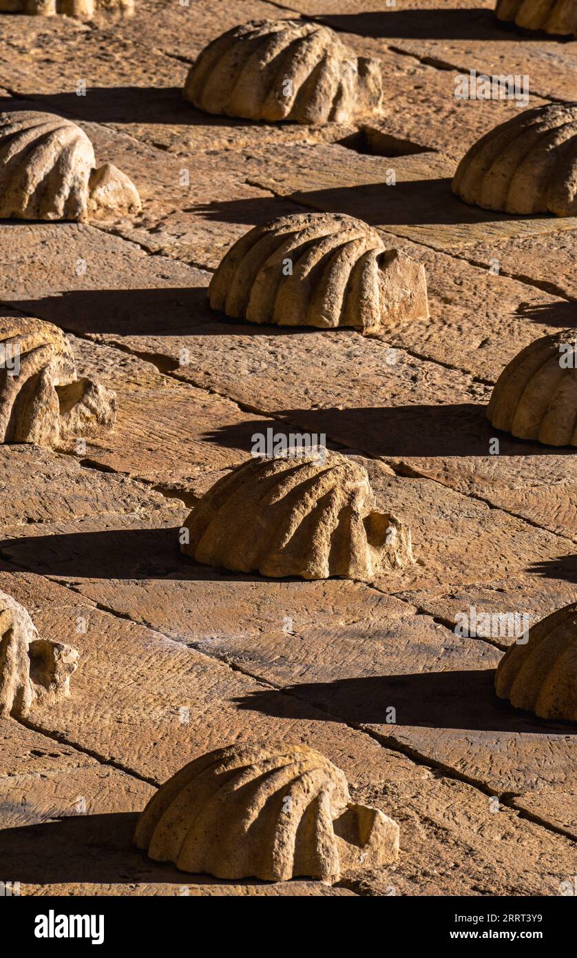 Macro detail of low-relief shell moldings sculpted in orange granite rock with their shadows stretched horizontally by the afternoon sun on the facade Stock Photo
