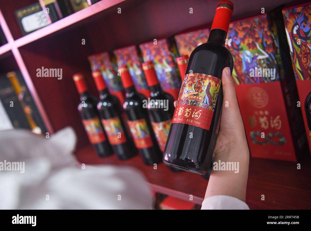 230628 -- URUMQI, June 28, 2023 -- A tourist selects wine products at the Grape Valley scenic area in Turpan, northwest China s Xinjiang Uygur Autonomous Region, June 26, 2023. The city of Turpan has received 2.53 million tourist visits from June 1 to 28, an increase of nearly 40 percent over the same period in 2022.  CHINA-XINJIANG-TURPAN-TOURISM CN WangxFei PUBLICATIONxNOTxINxCHN Stock Photo