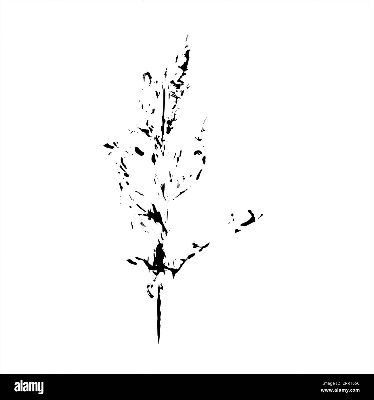 Plant imprint. Black silhouette of herbal element on white background