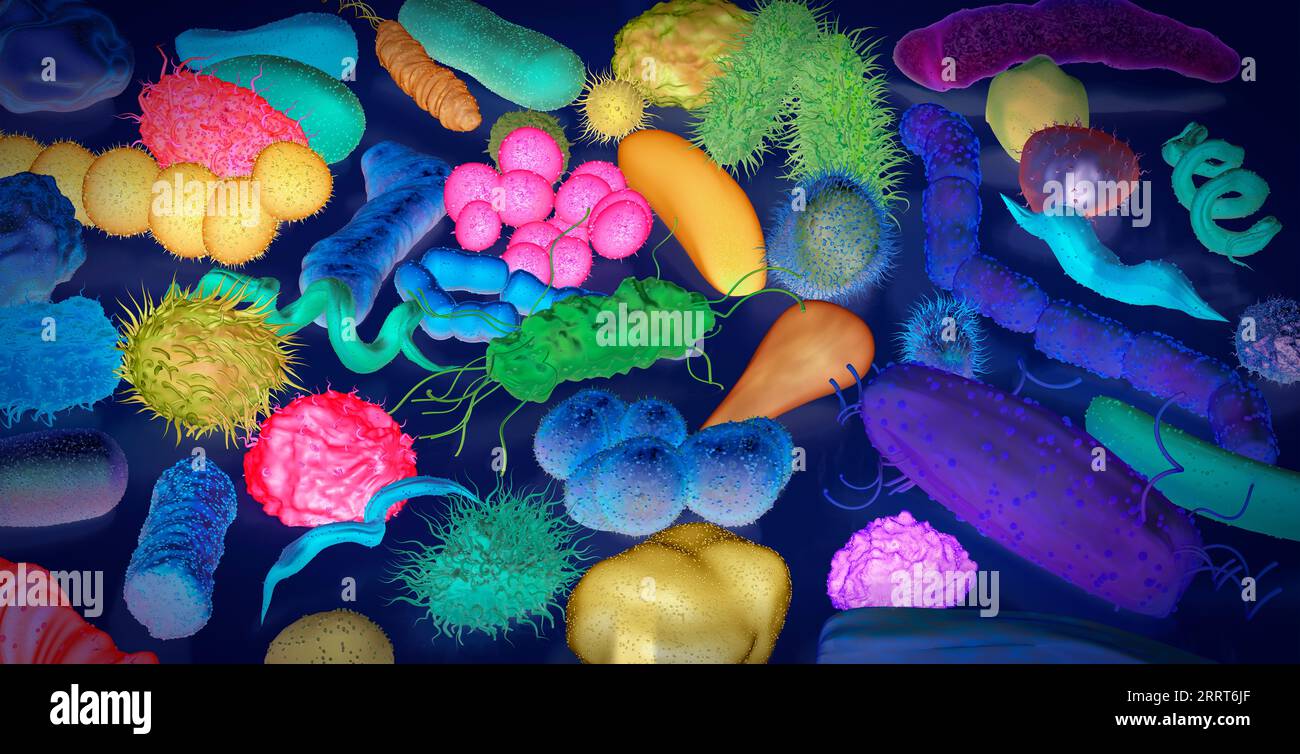Various bacteria, illustration Stock Photo