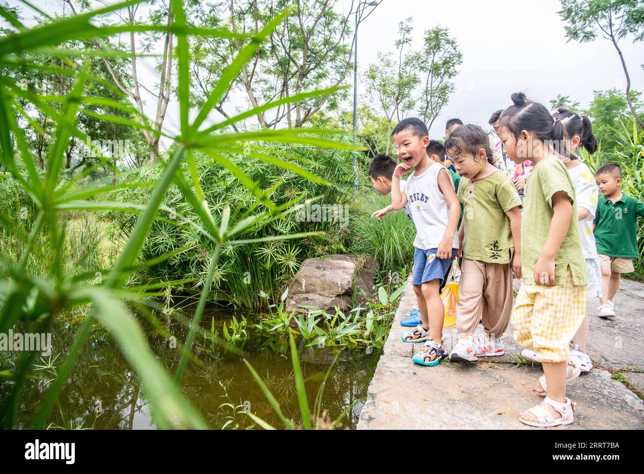 230704 -- CHONGQING, July 4, 2023 -- Children learn to identify aquatic organisms during an ecological education tour on Guangyang Isle in southwest China s Chongqing, July 3, 2023. Located at the most extensive green island in the upper reaches of the Yangtze River, Guangyang Isle, covering around 10 square km, has a vegetation coverage rate of over 90 percent, and 594 species of plants and 452 species of animals have been recorded. But its ecological system and biodiversity were severely damaged due to a number of aggressive real estate projects that had lasted for years. In 2017, the commer Stock Photo
