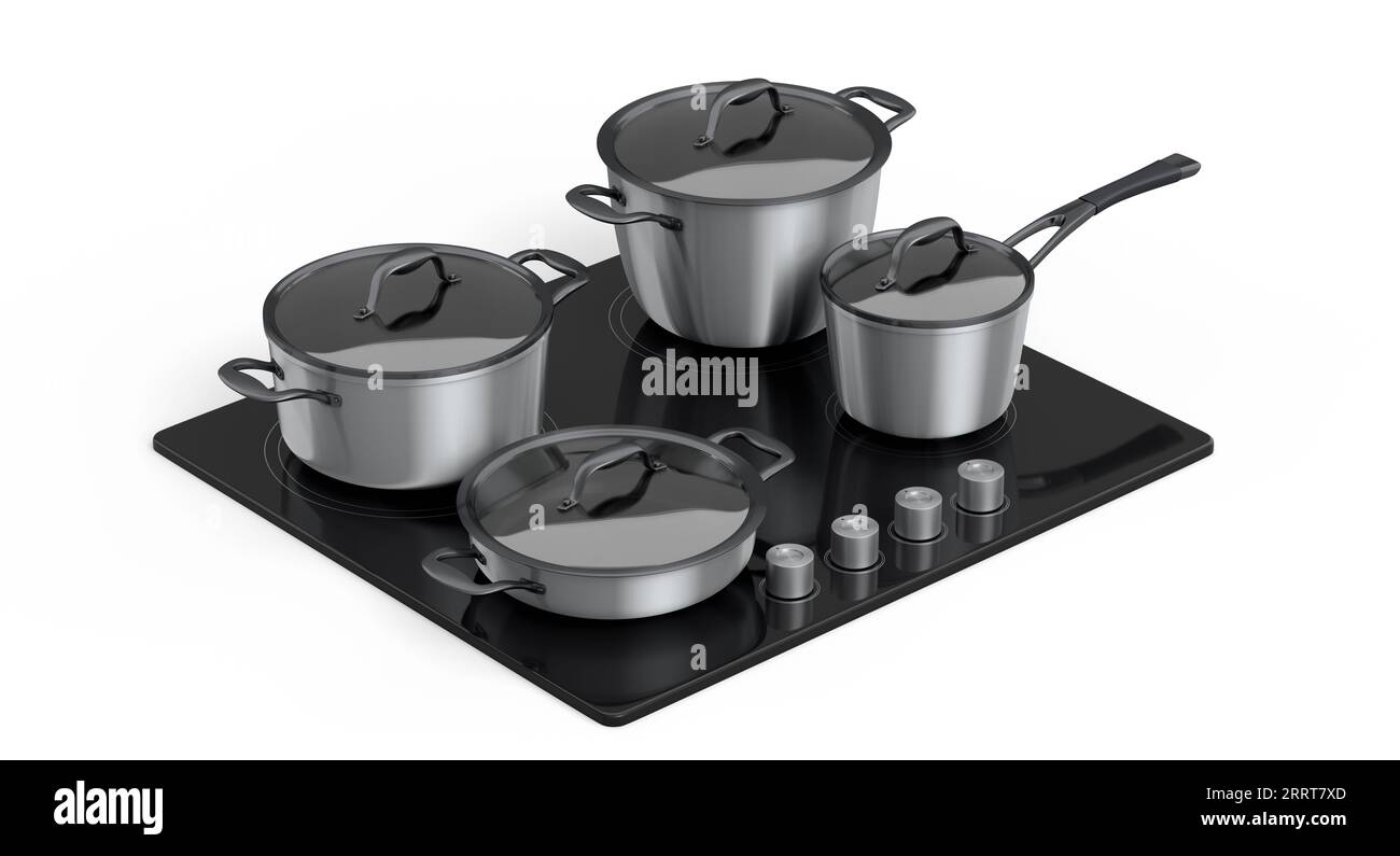 Frying pan and stewpot with glass lid on electric or gas stove cooker