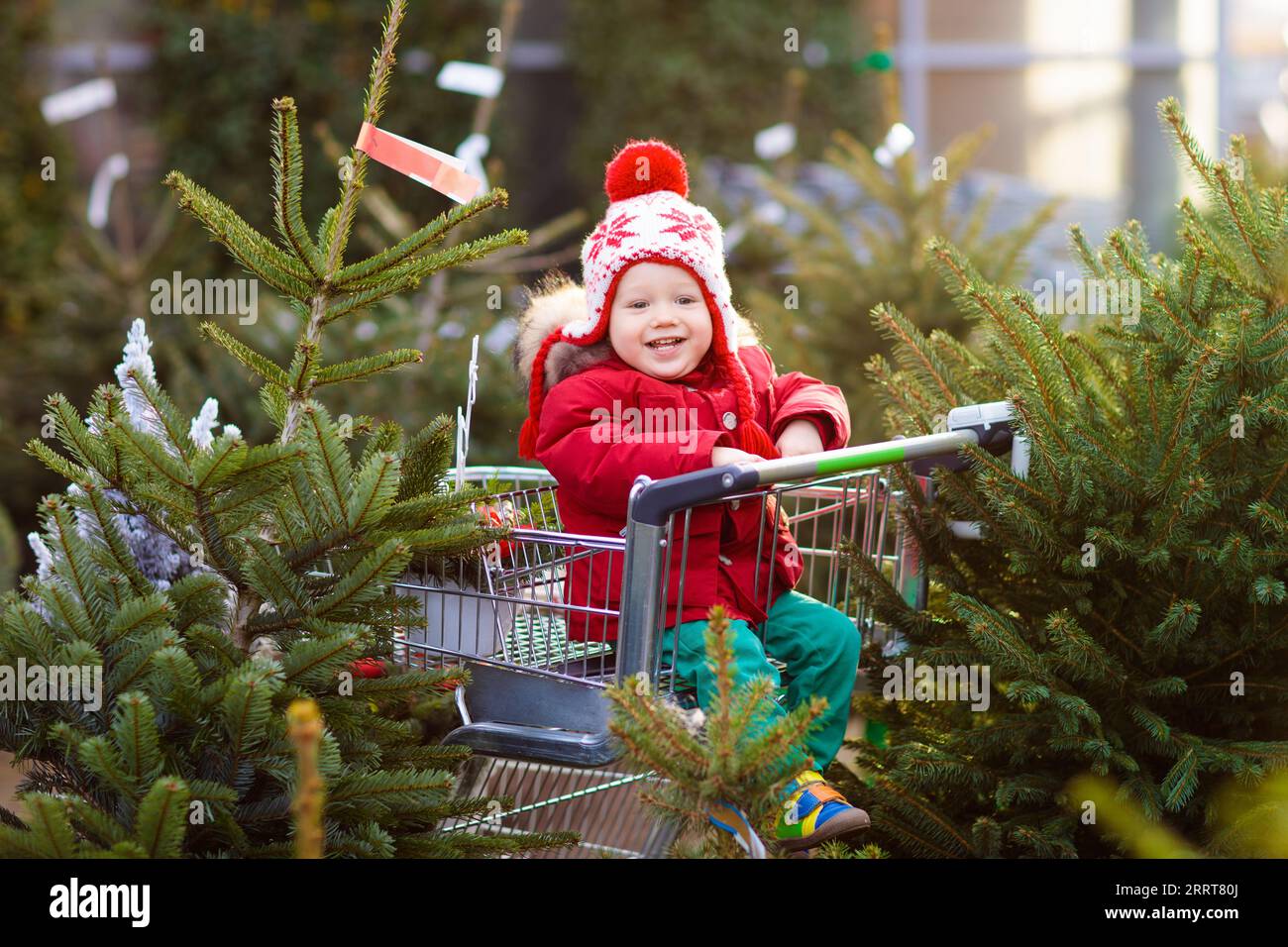 Family selecting Christmas tree. Kids choosing freshly cut Norway Xmas tree at outdoor lot. Children buying gifts at winter fair. Stock Photo