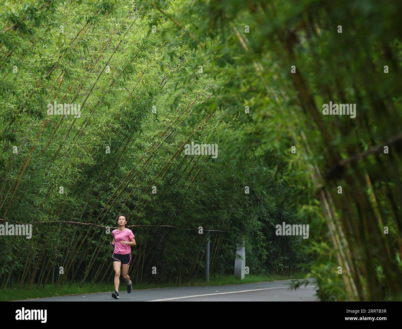 Loop industries hi-res stock photography and images - Alamy
