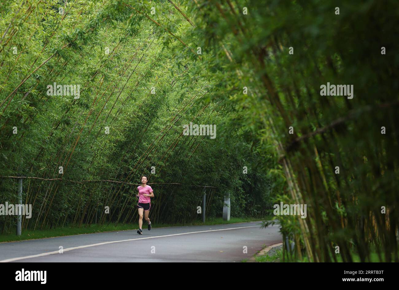 Loop industries hi-res stock photography and images - Alamy