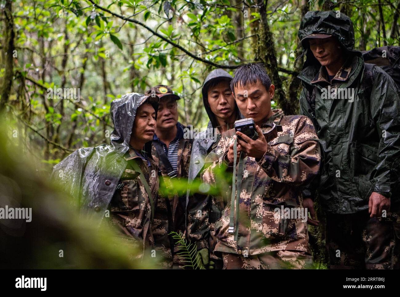 230712 -- LUSHUI, July 12, 2023 -- Rangers examine an infrared camera during a patrol at the Gaoligongshan national nature reserve in southwest China s Yunnan Province, July 9, 2023. Gaoligongshan mountains, where about 17 percent of China s higher plants species, 30 percent of mammal species and over 35 percent of birds species are found, is an important showcase of the country s biodiversity protection. In 2011, the Nujiang Golden Monkey, the fifth golden monkey species in the world, was also found here. He Guipin, a ranger of the Lushui branch of the Gaoligongshan national nature reserve, h Stock Photo