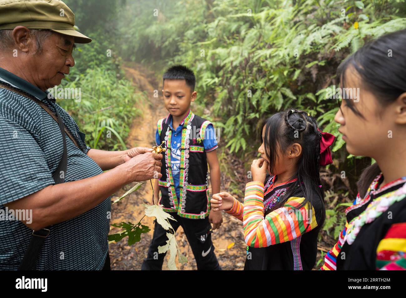 230726 -- JINPING, July 26, 2023 -- Zhang Puzhong 1st L picks some wild berries for his grandchildren in the forest near Xiaxinzhai Village, Zhemi Township, Jinping County, Honghe Hani and Yi Autonomous Prefecture, southwest China s Yunnan Province, July 23, 2023. After days of thinking, Zhang Puzhong decided to do something instructive to his grandchildren: bring them back to the forest he used to live as a child more than 60 years ago. This is very important. I know how happy I am today because I never forget how bitter my life was in the past, Zhang said. Zhang is a 70-year-old Kucong resid Stock Photo