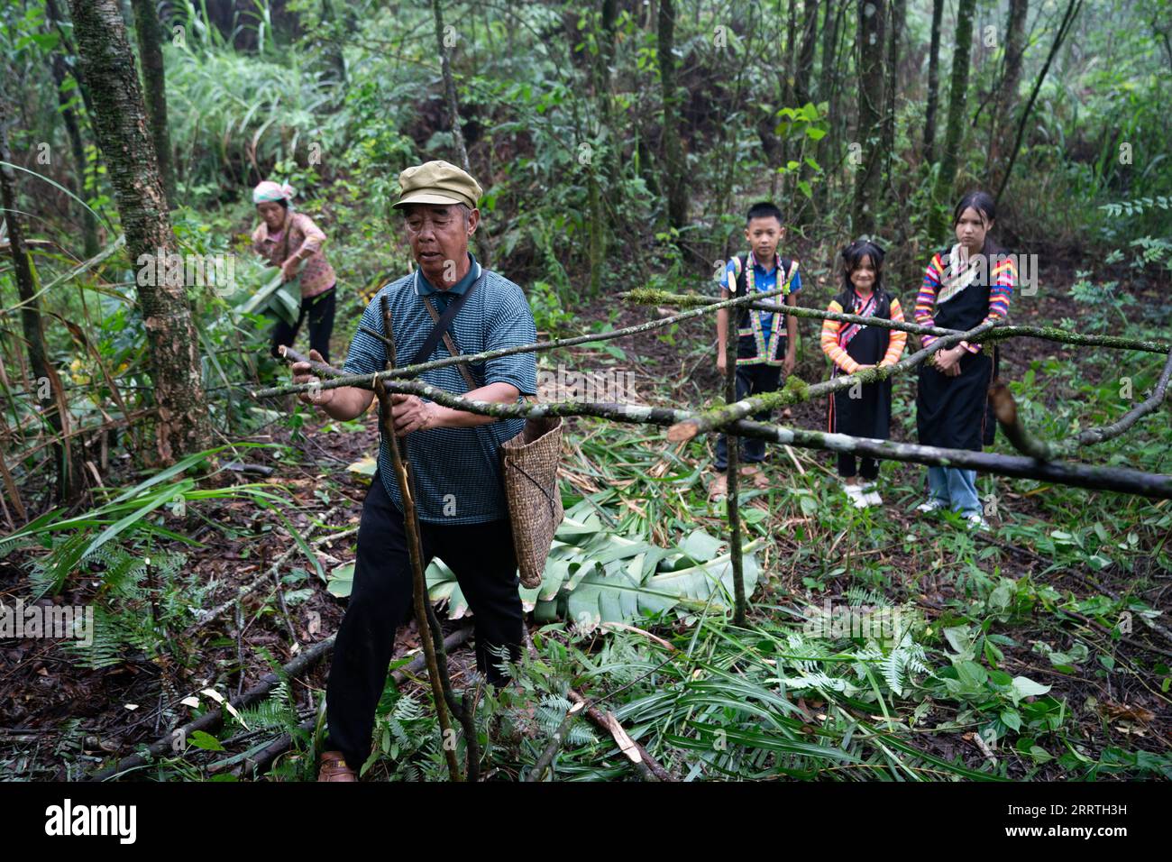 230726 -- JINPING, July 26, 2023 -- Zhang Puzhong 2nd L and his wife Wang Suying 1st L build a shed with banana leaves as their grandchildren look on in the forest near Xiaxinzhai Village, Zhemi Township, Jinping County, Honghe Hani and Yi Autonomous Prefecture, southwest China s Yunnan Province, July 23, 2023. After days of thinking, Zhang Puzhong decided to do something instructive to his grandchildren: bring them back to the forest he used to live as a child more than 60 years ago. This is very important. I know how happy I am today because I never forget how bitter my life was in the past, Stock Photo