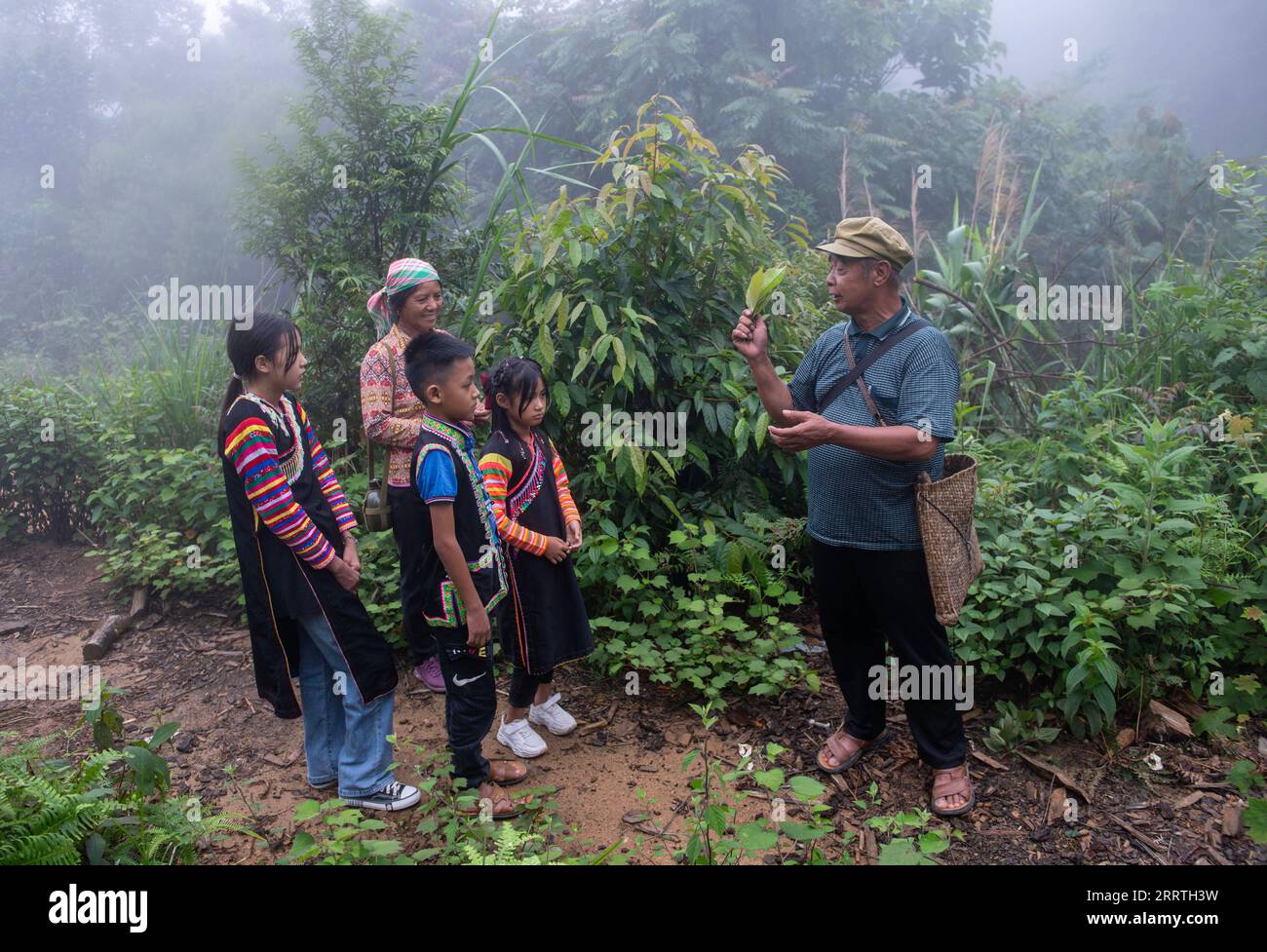 230726 -- JINPING, July 26, 2023 -- Zhang Puzhong 1st R briefs his grandchildren on herbal medicines in the forest near Xiaxinzhai Village, Zhemi Township, Jinping County, Honghe Hani and Yi Autonomous Prefecture, southwest China s Yunnan Province, July 23, 2023. After days of thinking, Zhang Puzhong decided to do something instructive to his grandchildren: bring them back to the forest he used to live as a child more than 60 years ago. This is very important. I know how happy I am today because I never forget how bitter my life was in the past, Zhang said. Zhang is a 70-year-old Kucong reside Stock Photo