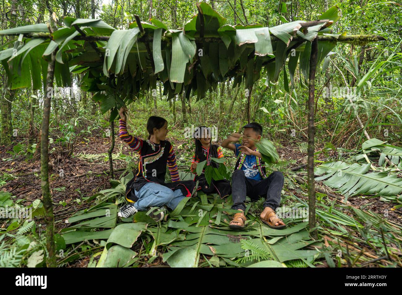 230726 -- JINPING, July 26, 2023 -- Grandchildren of Zhang Puzhong have fun under a banana leaf shed built by Zhang in the forest near Xiaxinzhai Village, Zhemi Township, Jinping County, Honghe Hani and Yi Autonomous Prefecture, southwest China s Yunnan Province, July 23, 2023. After days of thinking, Zhang Puzhong decided to do something instructive to his grandchildren: bring them back to the forest he used to live as a child more than 60 years ago. This is very important. I know how happy I am today because I never forget how bitter my life was in the past, Zhang said. Zhang is a 70-year-ol Stock Photo