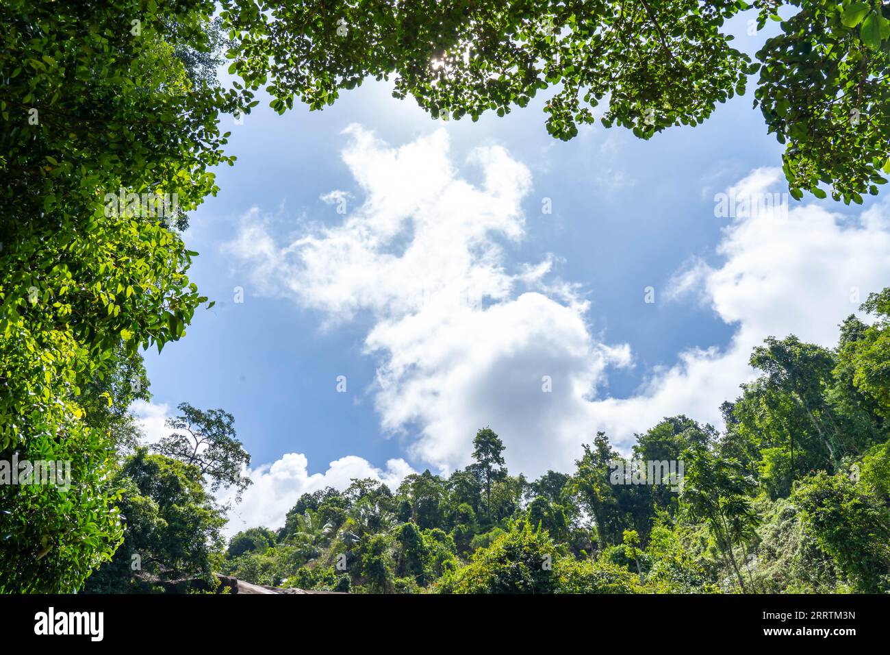 Wayanad Rural Area Wayanad is a rural district in Kerala state, southwest India Stock ...