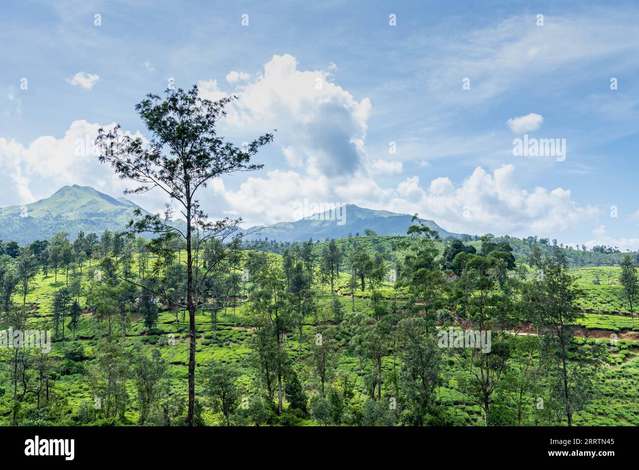 Wayanad Rural Area Wayanad kerala hi-res stock photography and images - Alamy