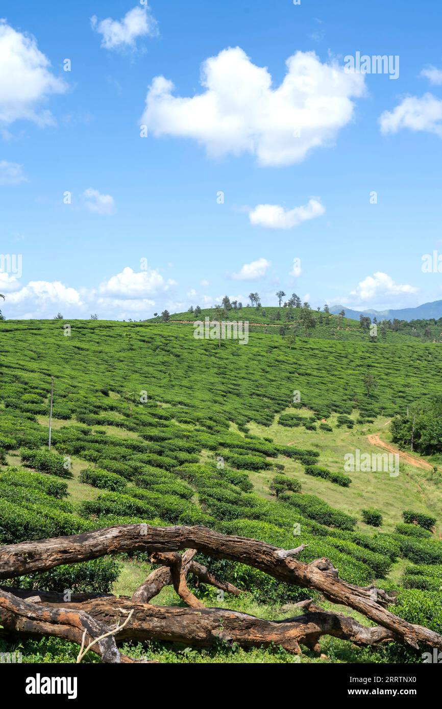 Wayanad Rural Area Wayanad backwaters hi-res stock photography and images - Alamy