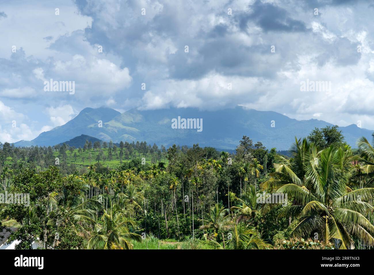 Wayanad Rural Area Wayanad is a rural district in Kerala state, southwest India Stock ...