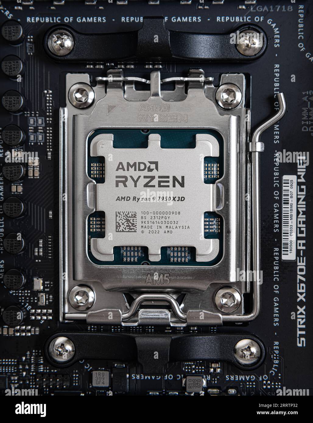 AMD Ryzen 9 7950X3D processor closeup installed in motherboard socket. Studio shot Stock Photo