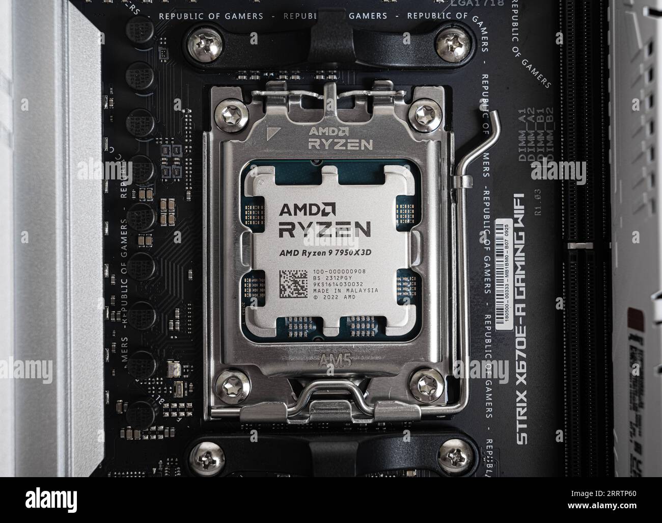 AMD Ryzen 9 7950X3D processor closeup installed in motherboard socket. Studio shot Stock Photo