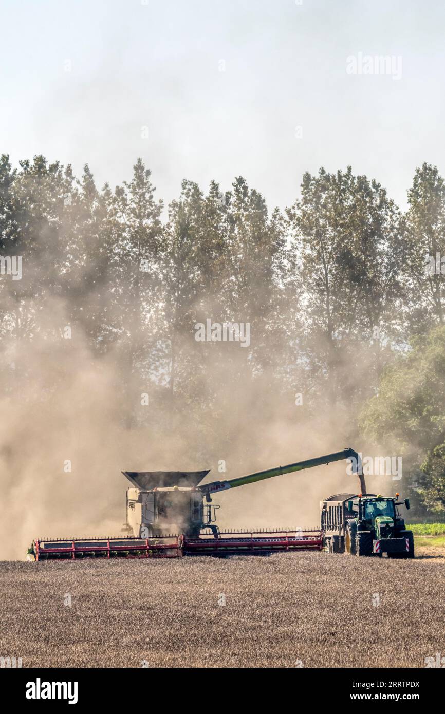 Claas Lexion 8900 combine harvester working and offloading grain to a