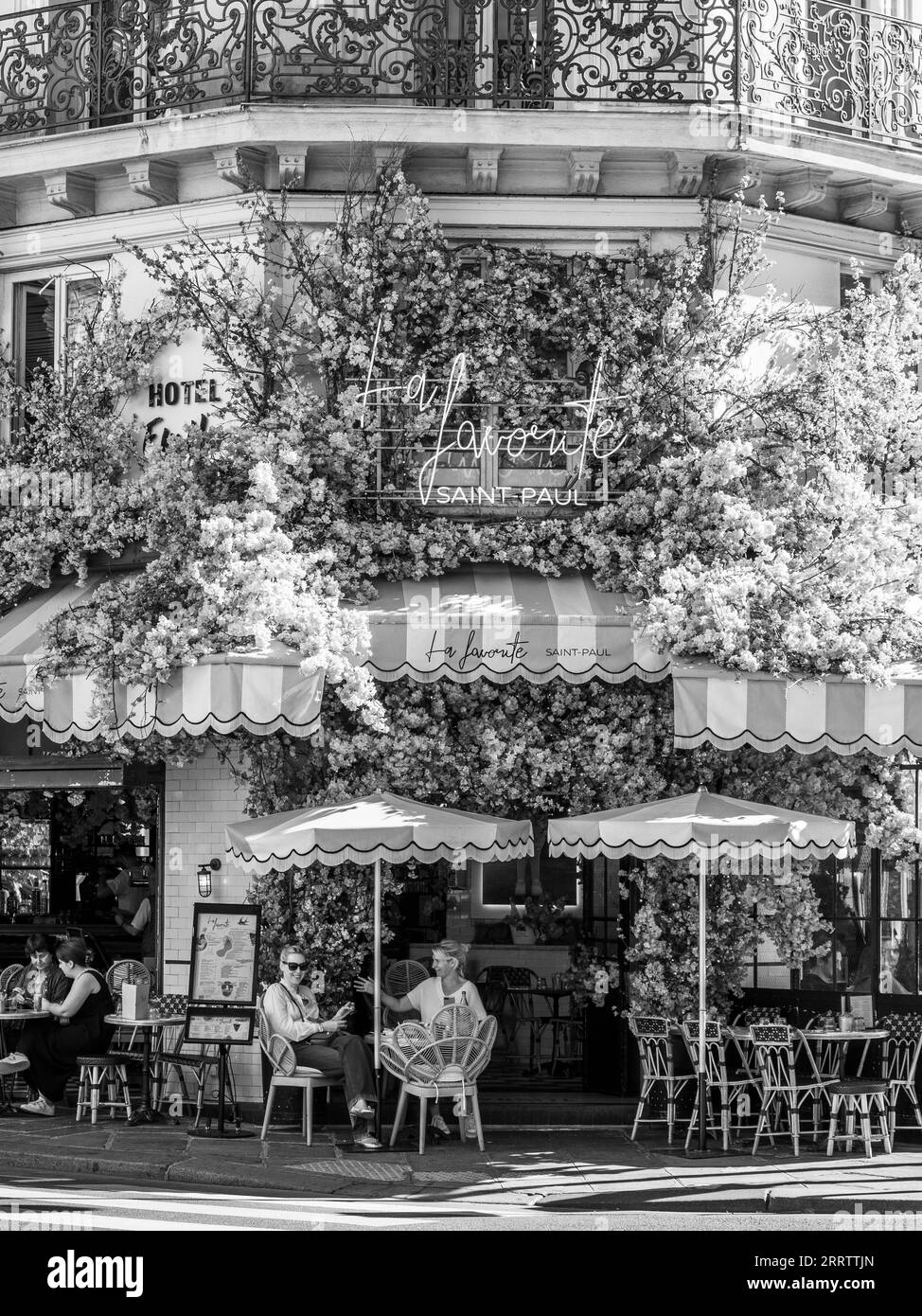 Black and White, La Favorite, Cafe with Pink Flowers, Paris, France, Europe, EU. Stock Photo