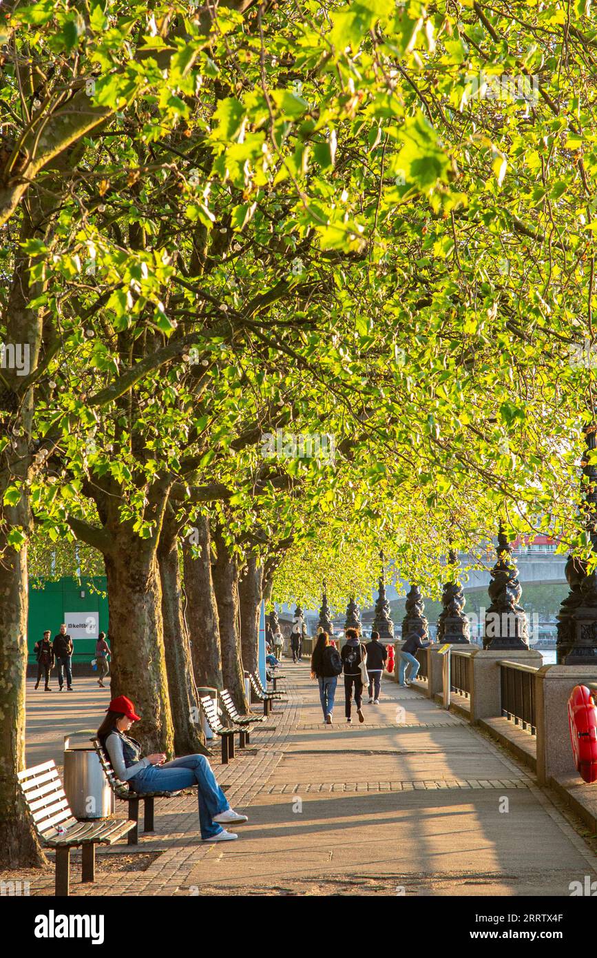 London southbank spring hi-res stock photography and images - Alamy