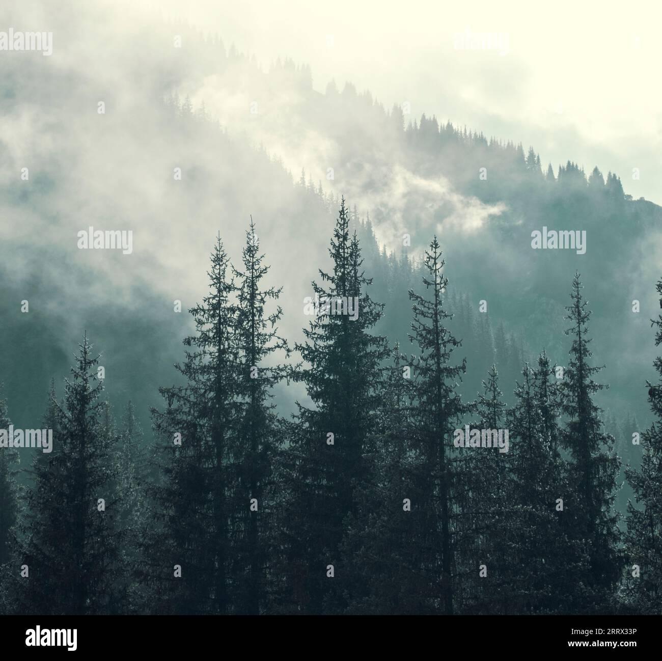 Rain fog over forest view hi-res stock photography and images - Alamy
