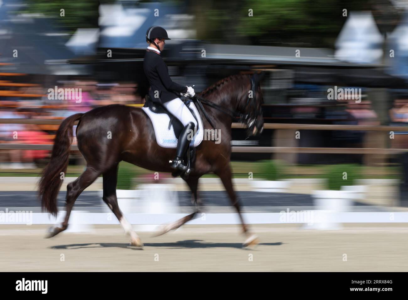 Euro Equestrian Rider Riesenbeck, Germany. 09th Sep, 2023. Equestrian sport: European ...