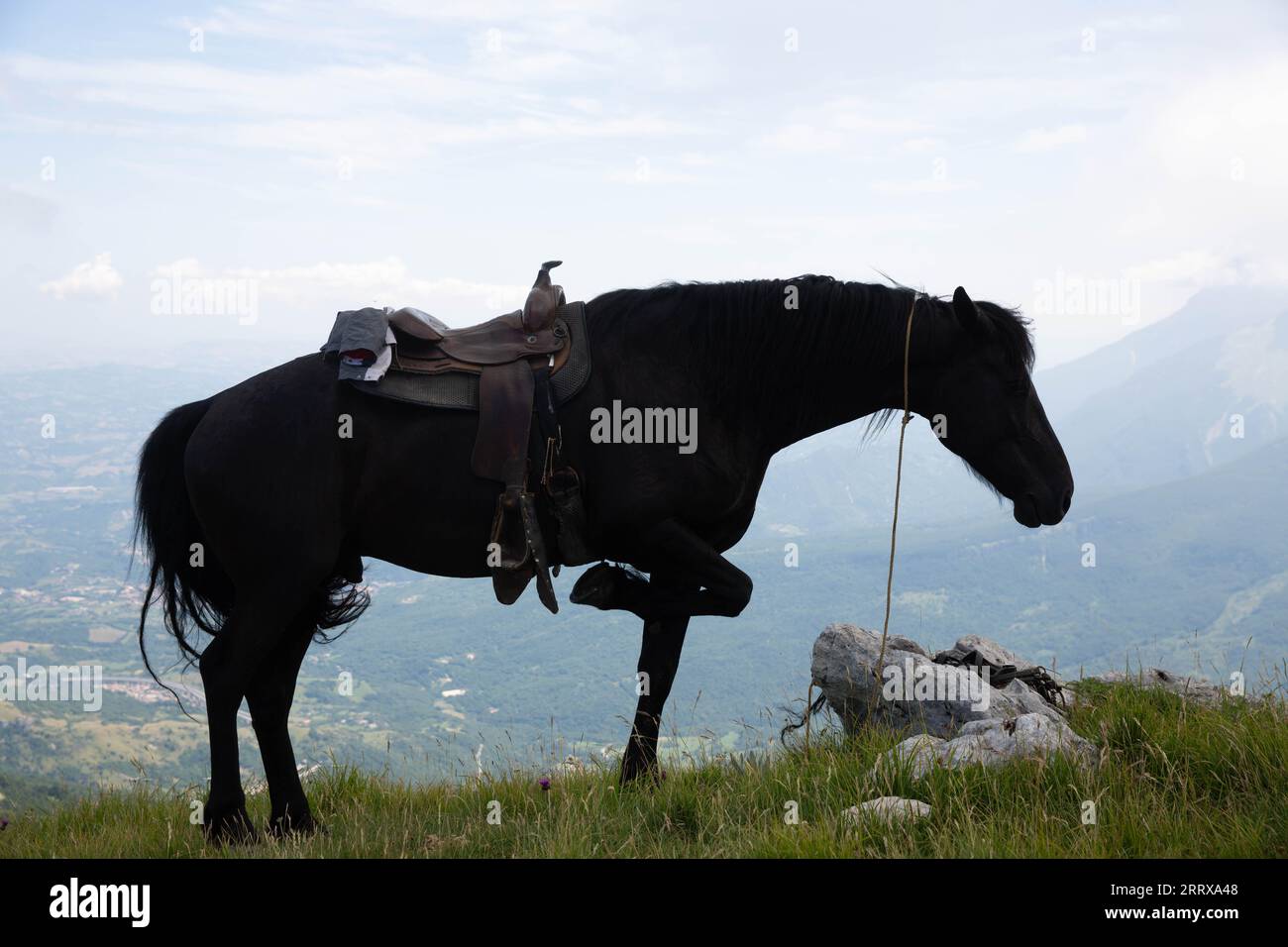 Equestrian ranch italy hi-res stock photography and images - Alamy