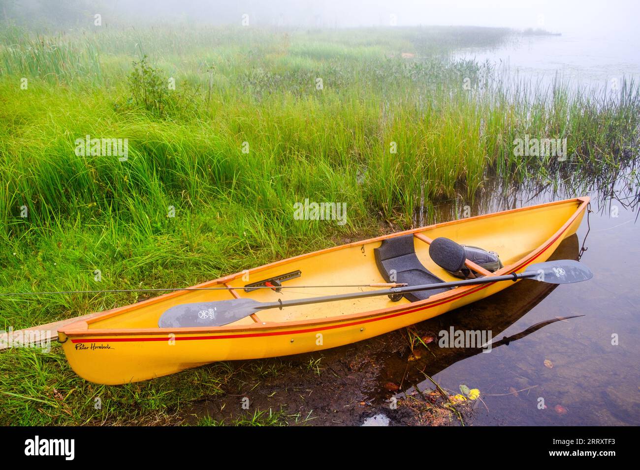 Misty Adirondack lake scene while canoeing in the Adirondack Mountains