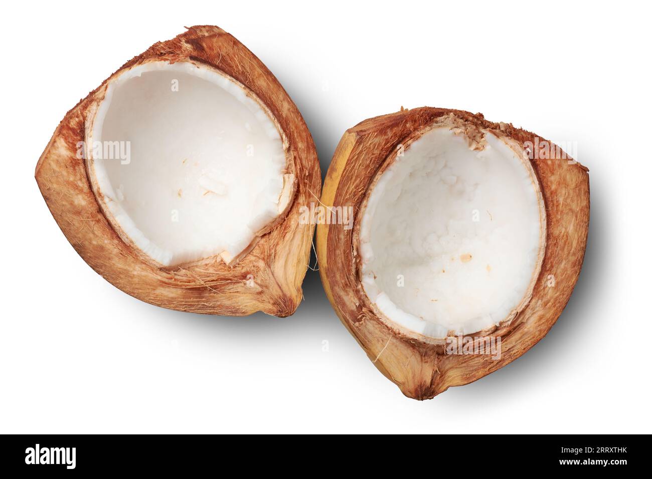 crack opened king coconut, variety of coconut native to sri lanka, where it is known as thambili, healthy tropical fruit for it's water and flesh Stock Photo