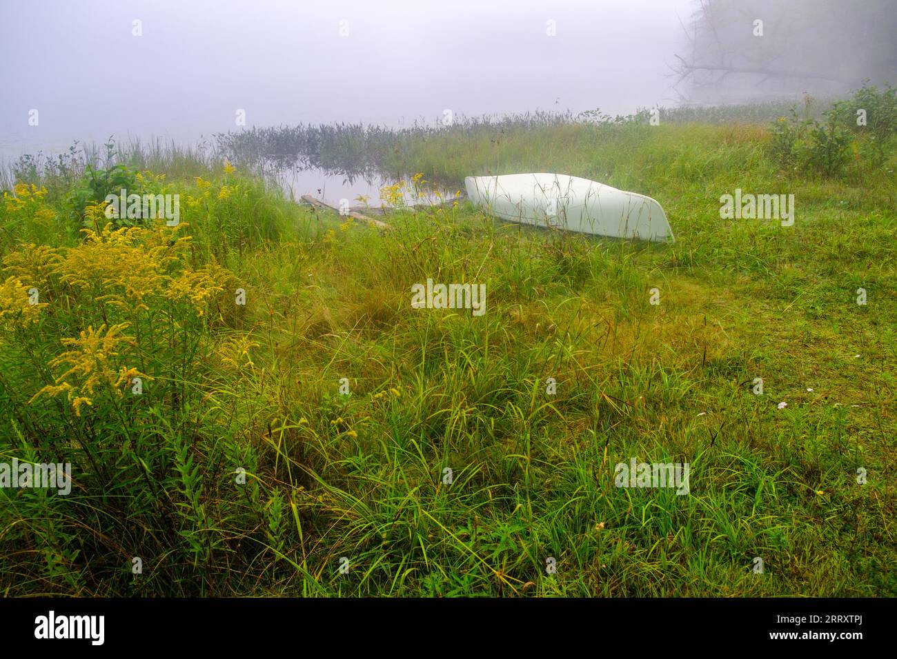 Misty Adirondack lake scene while canoeing in the Adirondack Mountains of New York State, USA, Essex Chain Lakes near Newcomb, NY, USA. Stock Photo