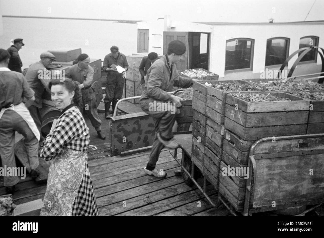 Deicharbeiter entladen ein Schiff, Lelystadhaven 1955. Dike workers