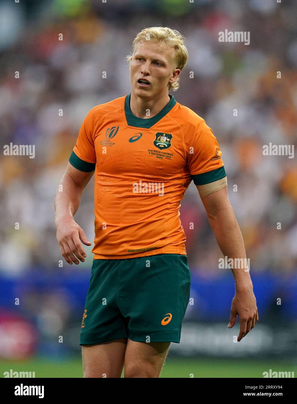 Carter gordon australia hi-res stock photography and images - Alamy