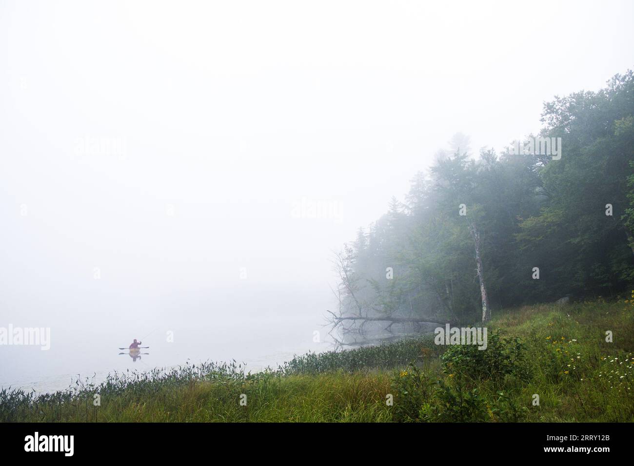 Misty Adirondack lake scene while canoeing in the Adirondack Mountains of New York State, USA, Essex Chain Lakes near Newcomb, NY, USA. Stock Photo