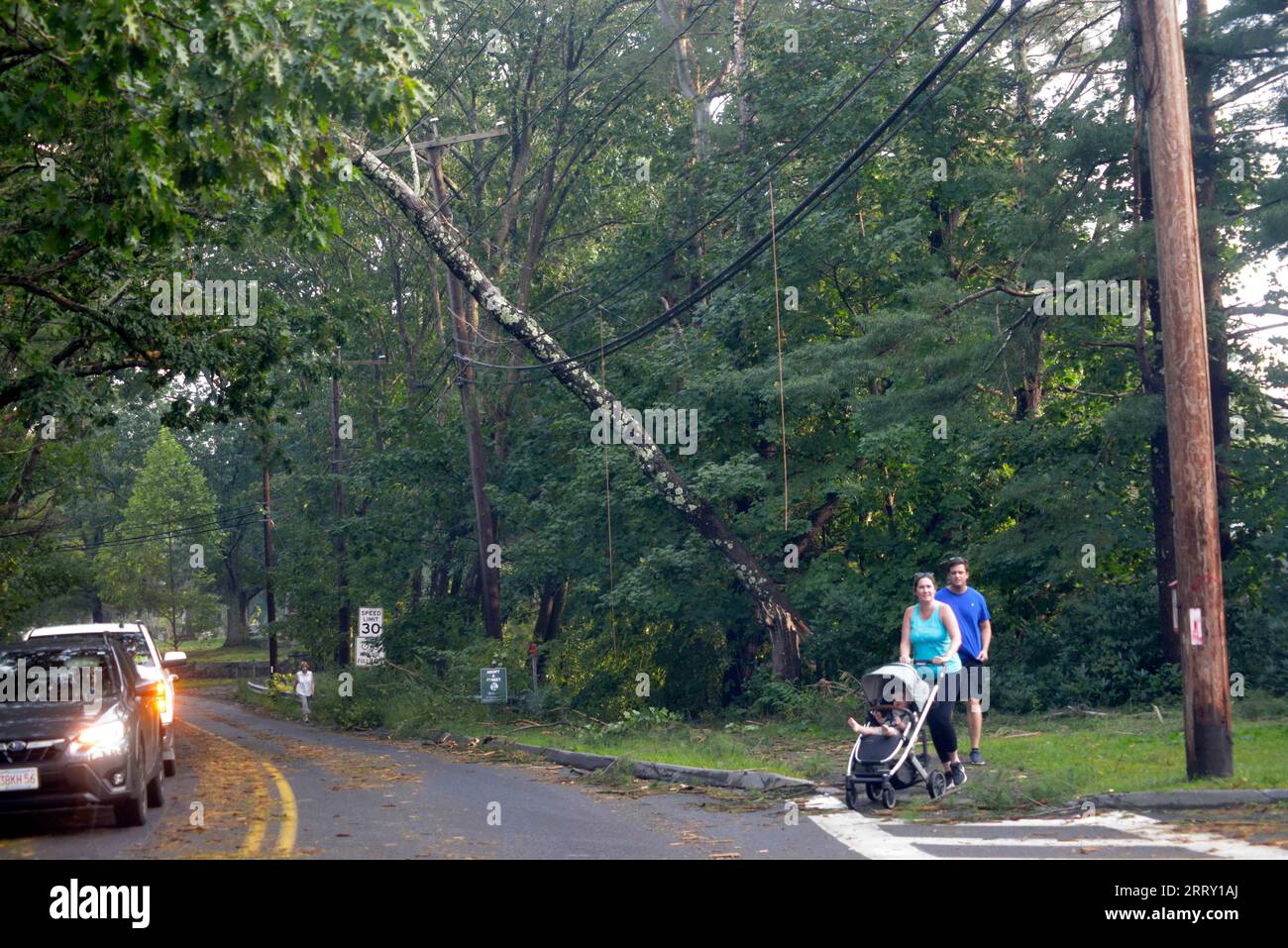 W.Acton, MA, USA. 7th Sep, 2023. Strong thunder storm has caused significant damage west of Boston slowing traffic on Route 2 West. Trees are down on the commuter trains rails and power lines in Acton are down throughout the area. 57,000 people are without power in parts of the state. (Credit Image: © Kenneth Martin/ZUMA Press Wire) EDITORIAL USAGE ONLY! Not for Commercial USAGE! Stock Photo