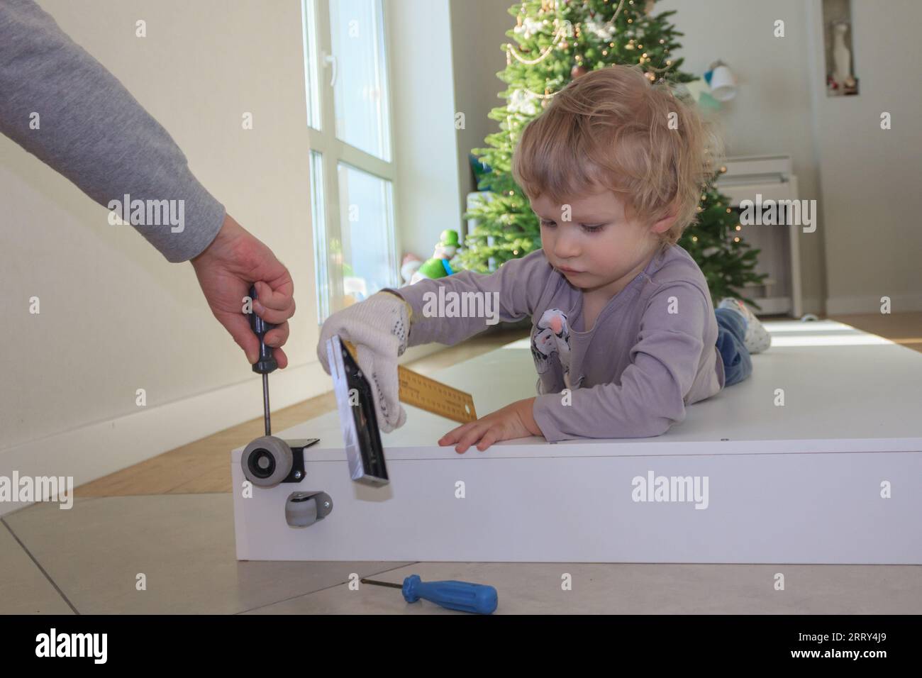 Dad and son are renovating a bed at home against the backdrop of a Christmas tree. Stock Photo