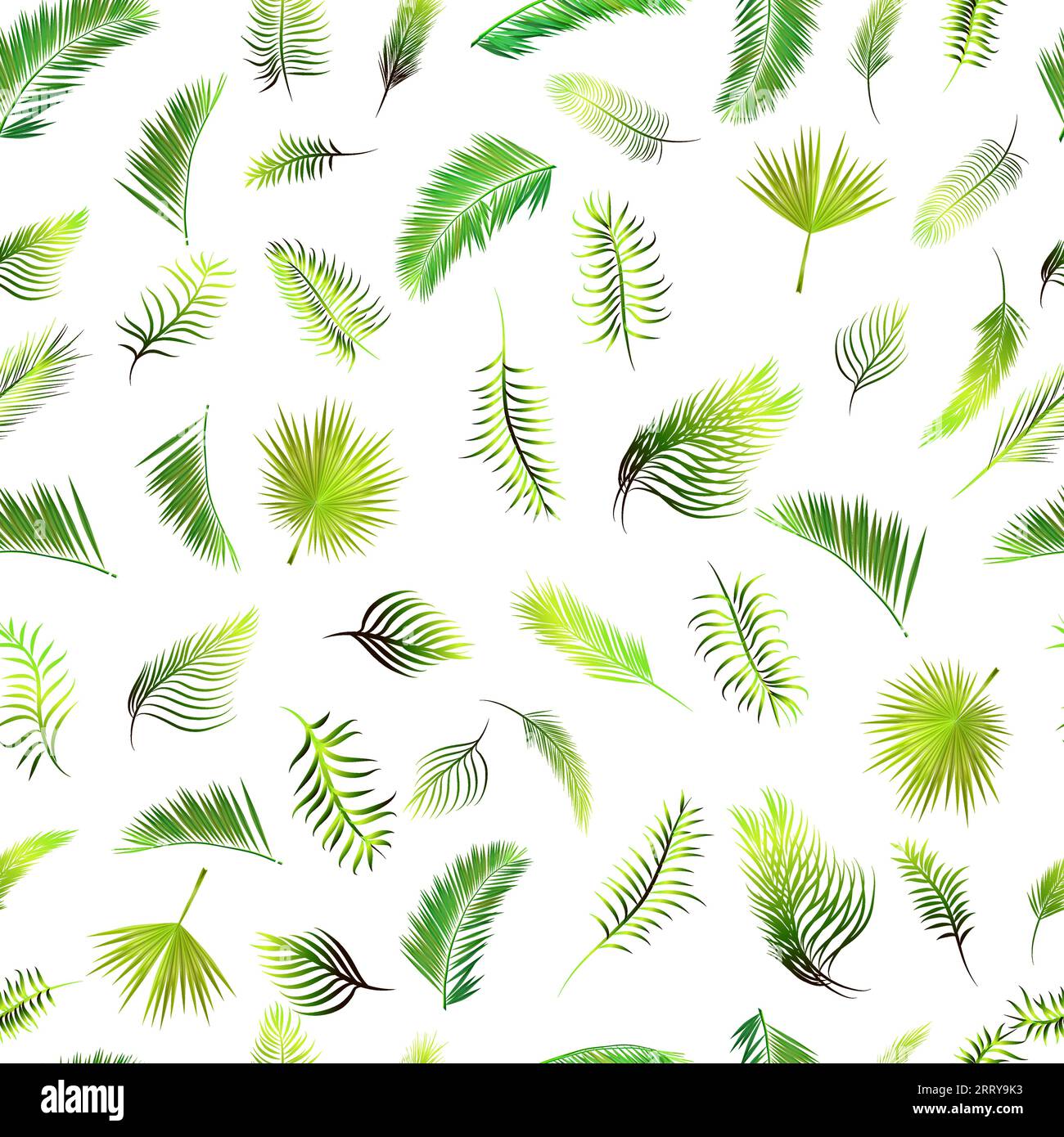 Palm leaves seamless pattern on white background. Vector background ...