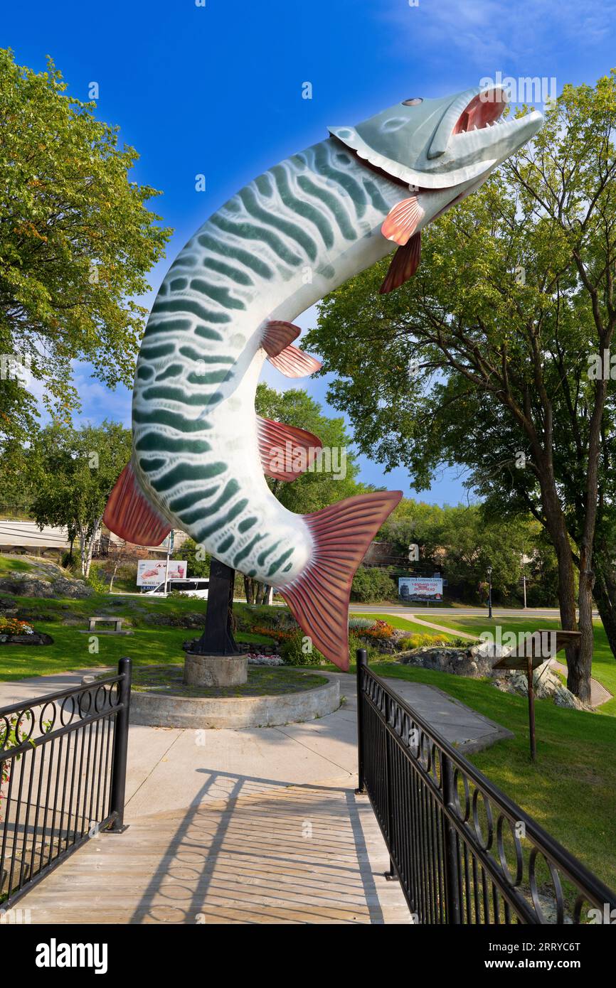 At 40 feet tall, Huskie the Muskie is an outdoor sculpture of a muskellunge in McLeod Park in Kenora Ontario. Fishing is a popular activity in the ar Stock Photo