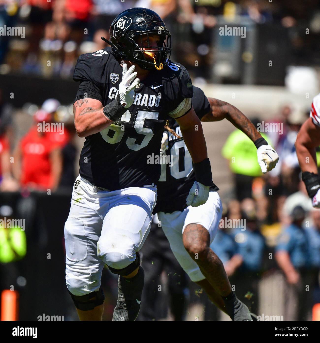Boulder, CO, USA. 09th Sep, 2023. Colorado Buffaloes guard Jack Bailey (65) looks to make a tackle in the football game between Colorado and Nebraska in Boulder, CO. Derek Regensburger/CSM/Alamy Live News Stock Photo