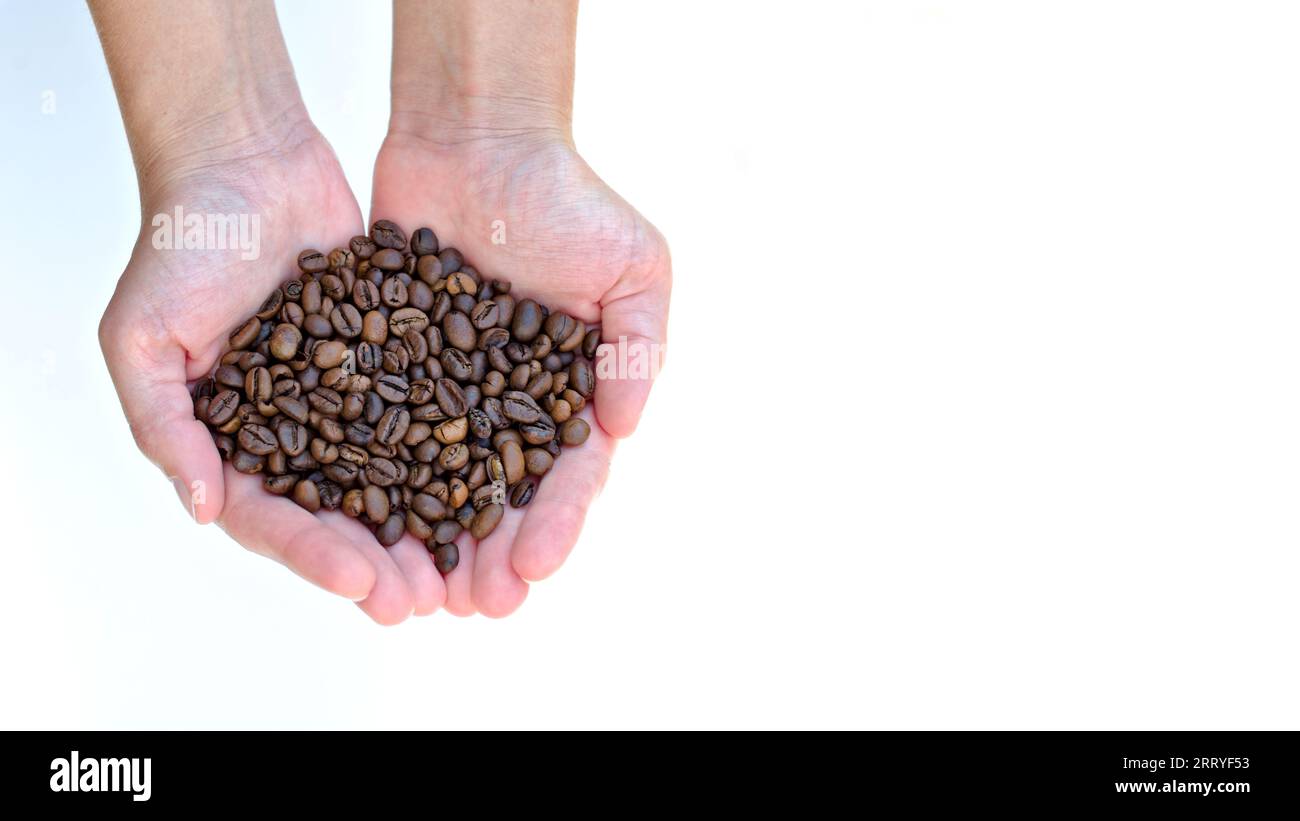 Girl is holding coffee beans in her hands. Isolated on white background. Negative space for text. Stock Photo