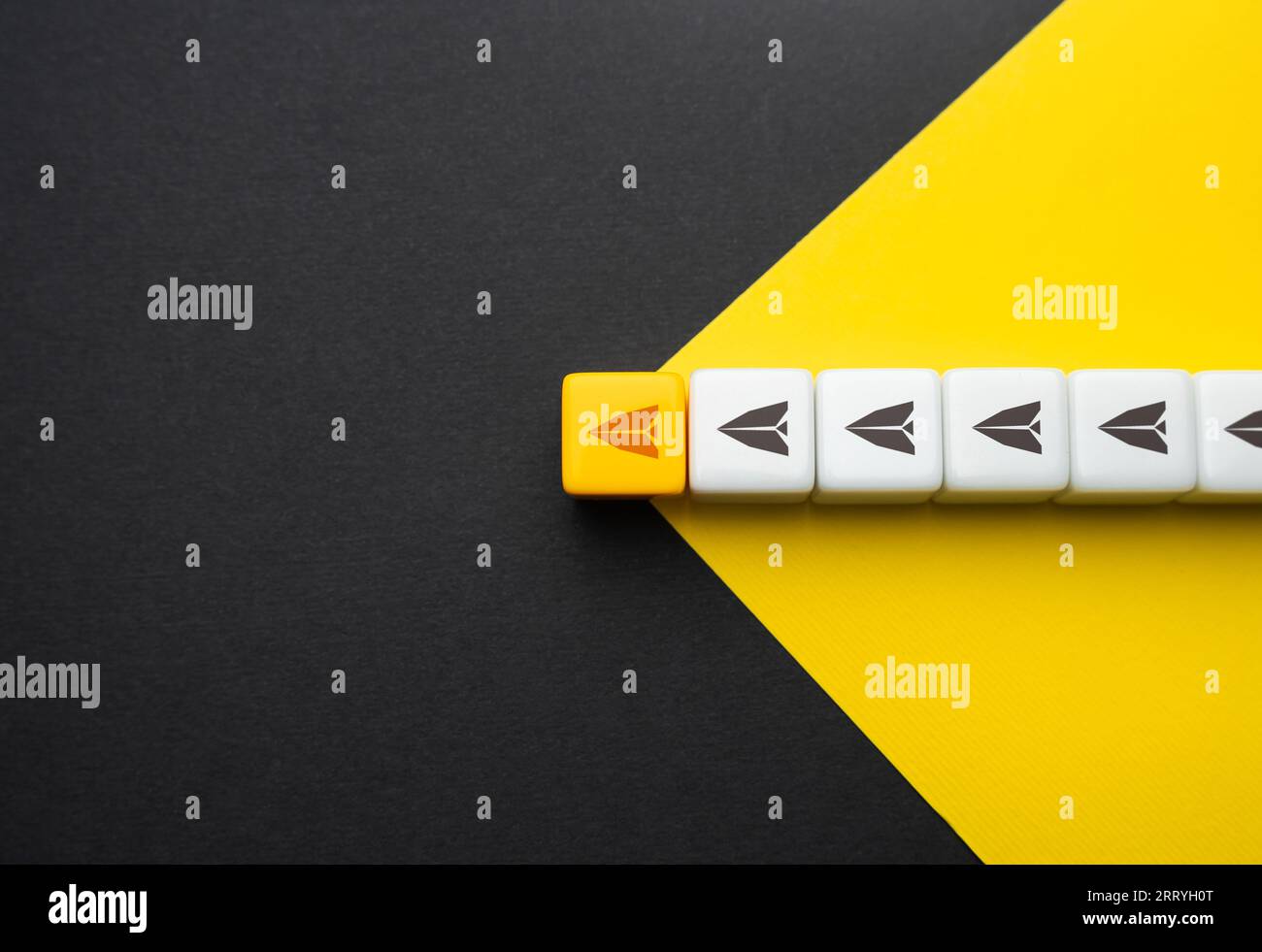 Leadership and direction setting. Open up new horizons. Inspire others ...