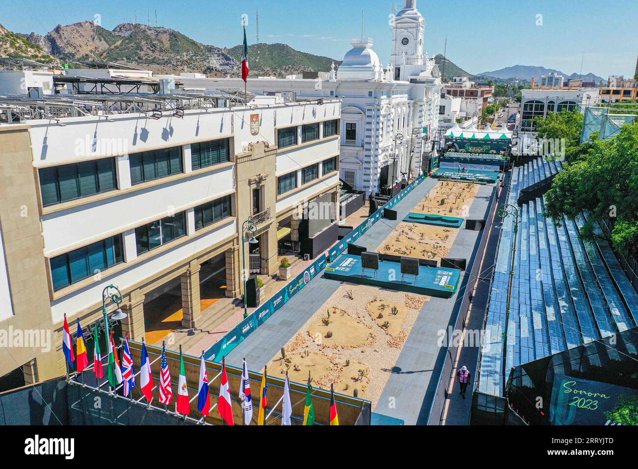 Kenzo zaragoza norte online
