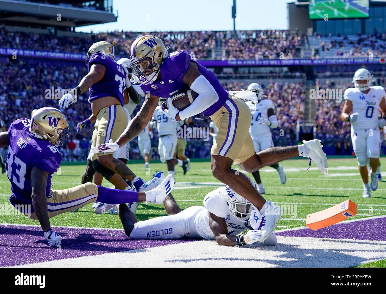 Washington wide receiver Ja'Lynn Polk, center top, falls after scoring ...