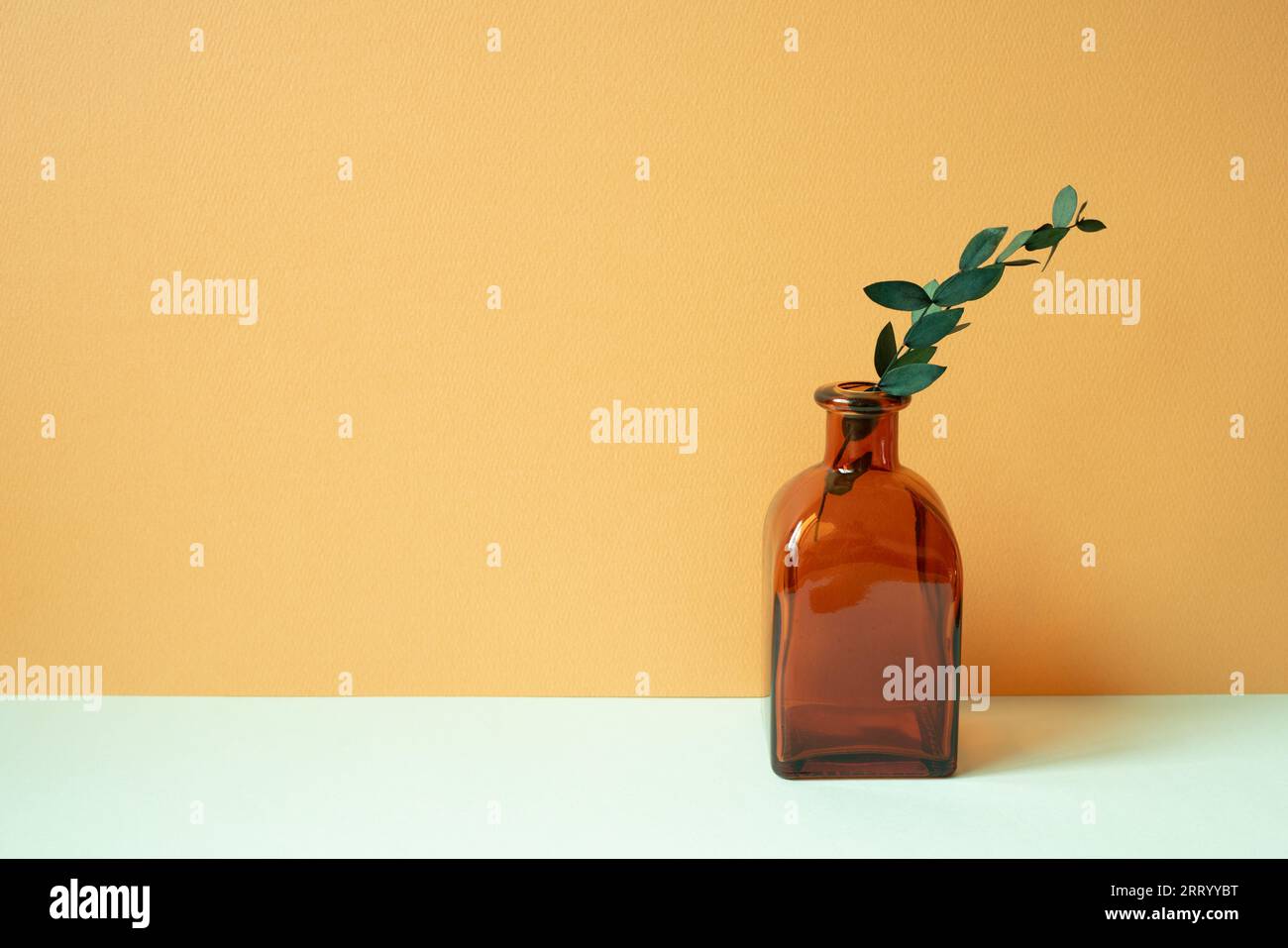 Brown glass vase of eucalyptus leaf on mint green table. orange wall background Stock Photo
