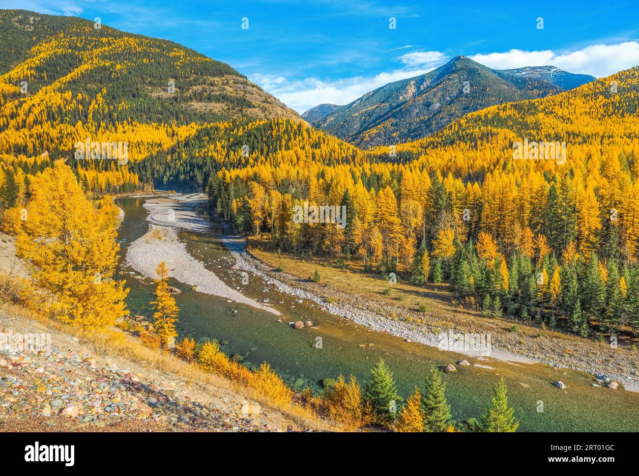 fall colors along the middle fork flathead river on the border of